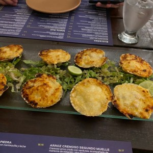Conchas a la Parmesana