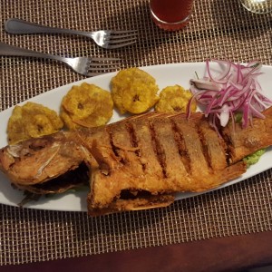 Pargo entero