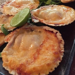CONCHAS A LA PARMESANA (10 unid.)