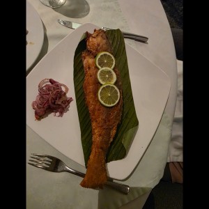 corvina frita