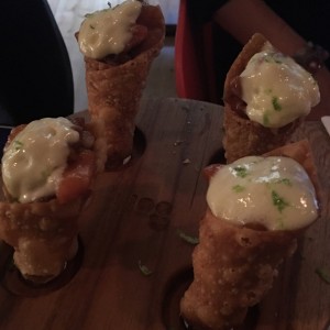 conos de salmon
