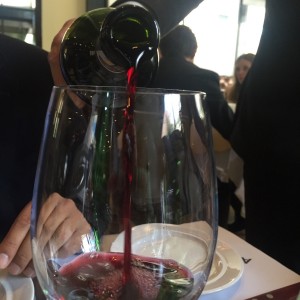 Volvanes de Chile Carmenere