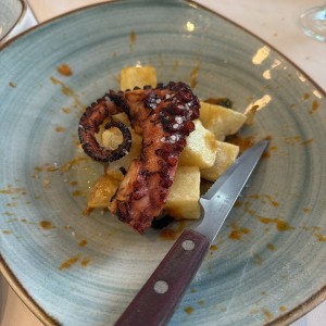 Pulpo