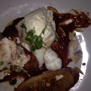 Appetizers - Burrata