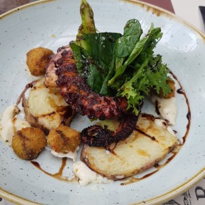 pulpo