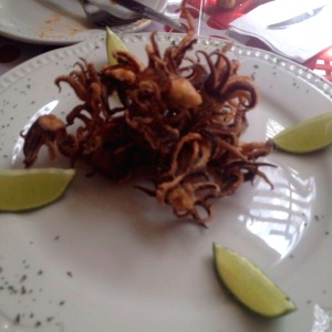 Cabeza de calamar
