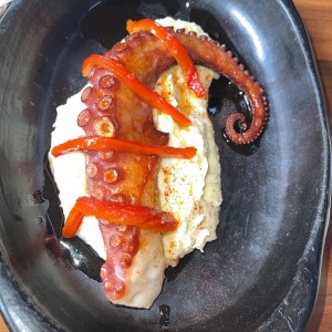 pulpo