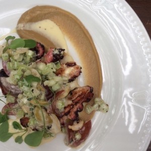 Pulpo