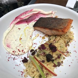 Salmon