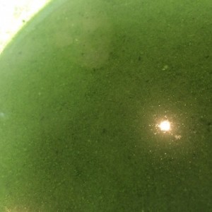 Sopa de espinaca