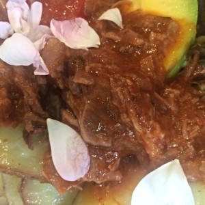 Con estofado de carne