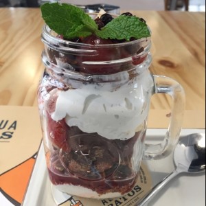 Ganola de frutos rojos