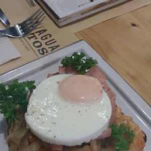 Pato Casero