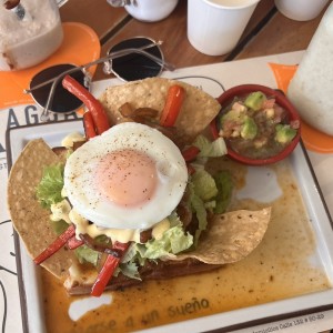 Pato Mariachi