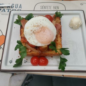 Pato casero 