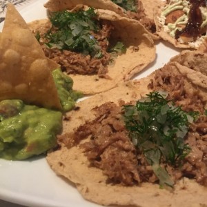 Taco Carnitas