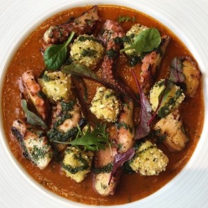 Pulpo