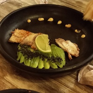 Sashimi 