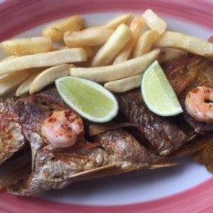 Mojarra