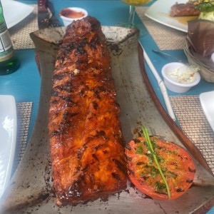 Salmon 