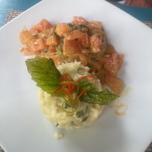 Salmon 