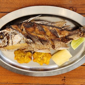 Pargo Rojo