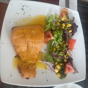 Salmon