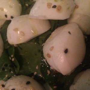 Mozzarela