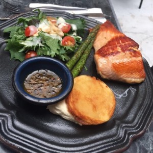 salmon
