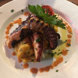 Pulpo
