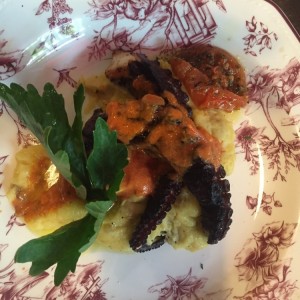 Pulpo