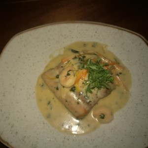 salmon