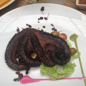 Pulpo