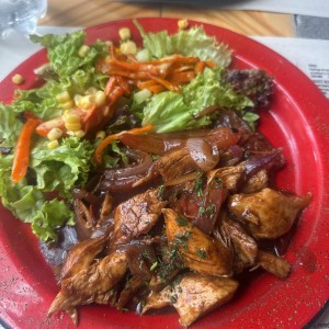 Pollo