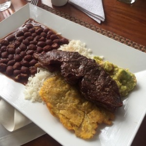 bandeja arriera
