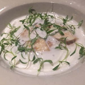 pesca del dia - corvina