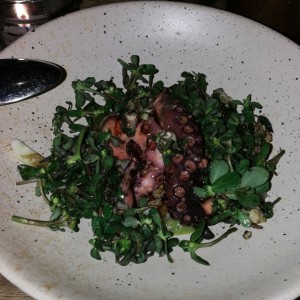 entrada pulpo