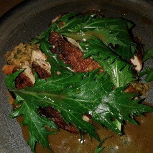Pollo y risoto