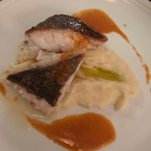 Pesca del dia- pargo 