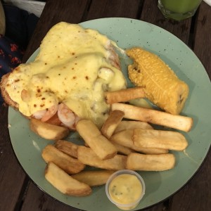 Pollo
