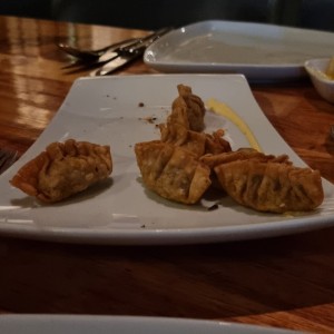 gyozas de lomo saltado