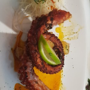 pulpo