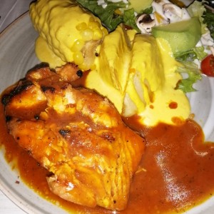 Salmon