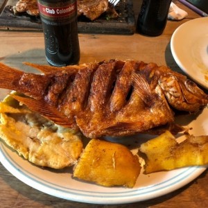 pescado rojo frito