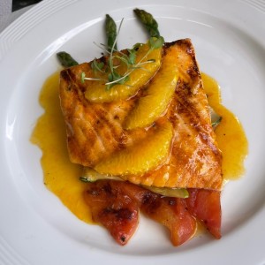 salmon
