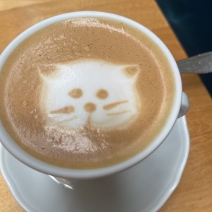 Cafe gato