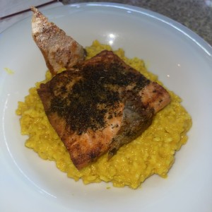 Salmon