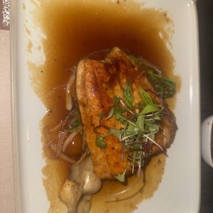 Salmon