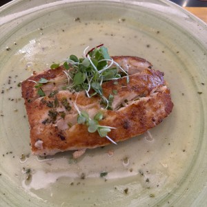 Corvina