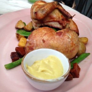 Pollo